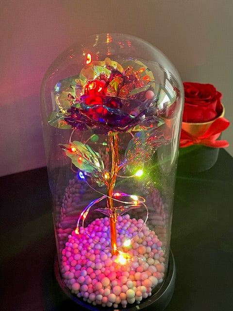 Premium Luxury Gift - Eternal Rose