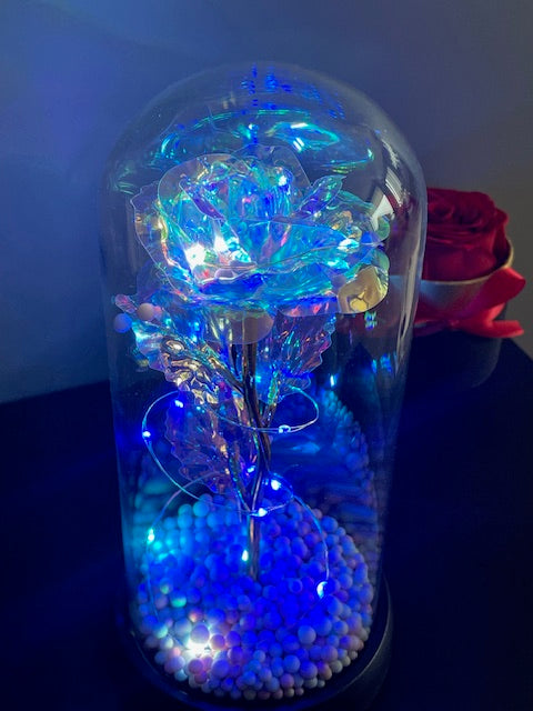 Premium Luxury Gift - Eternal Rose