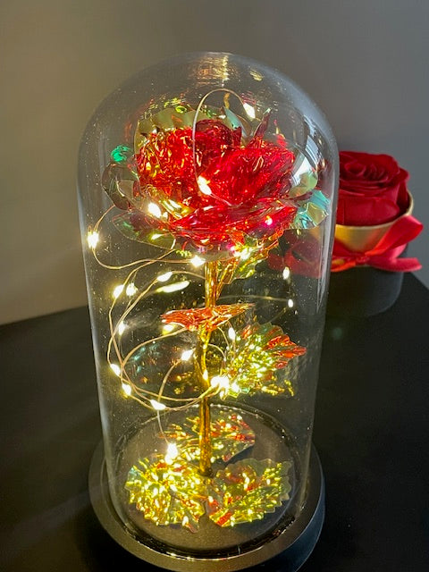 Premium Luxury Gift - Eternal Rose