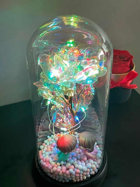 Premium Luxe Cadeau - Eternal Rose - Kissing Edition - LIMITED EDITION