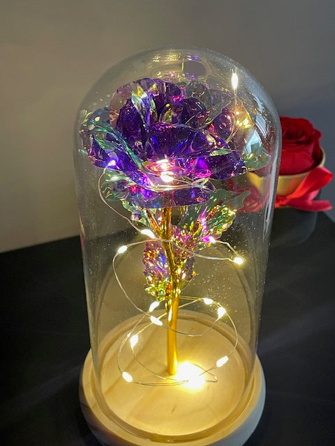 Premium Luxury Gift - Eternal Rose