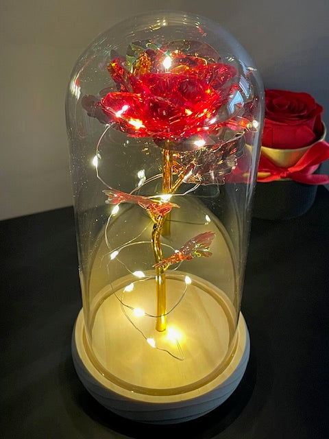 Premium Luxury Gift - Eternal Rose